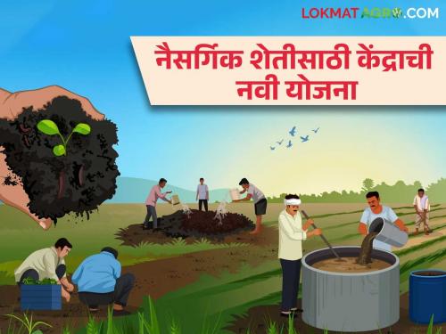 National Mission on Natural Farming: This new scheme launched by the central government for natural farming How to get benefit | National Mission on Natural Farming : नैसर्गिक शेतीसाठी केंद्र सरकारने सुरु केली ही नवीन योजना; कसा मिळणार लाभ