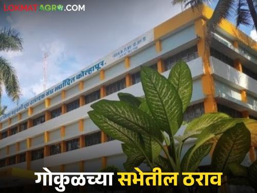 Gokul's 63rd general meeting was held; what resolutions were passed in the meeting? Read in detail | गोकुळची ६३वी सर्वसाधारण सभा झाली; सभेत कोणते ठराव मंजूर झाले? वाचा सविस्तर
