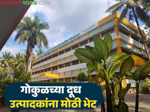 Gokul Milk : Gokul Milk Association will give extra money to farmers in rebates on the occasion of Diamond Jubilee year | Gokul Milk : हीरकमहोत्सवी वर्षानिमित्त गोकुळ दूध संघ शेतकऱ्यांना रिबेटमध्ये देणार जादा पैसे