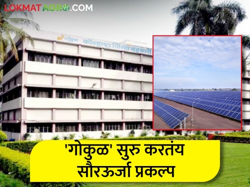 Gokul will start solar power project on 18 acres in Solapur district | गोकुळ सोलापूर जिल्ह्यात सुरु करणार १८ एकरांवर सौरऊर्जा प्रकल्प