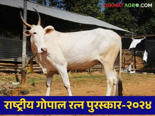 Farmers can get a reward of up to 5 lakhs for your livestock.. Register for this award | National Gopal Ratna Award 2024: पशुपालकानों तुमच्या पशुधनास मिळू शकते ५ लाखापर्यंतचे बक्षीस.. करा या पुरस्कारासाठी नाव नोंदणी