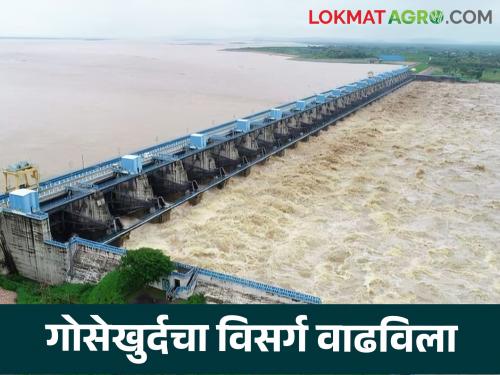 Latest news Gosekhurd Dam Gosekhurd discharge increased, Wainganga river crosses danger level  | Gosekhurd Dam : गोसेखुर्दचा विसर्ग वाढवला, वैनगंगा नदीने धोक्याची पातळी ओलांडली, वाचा सविस्तर  