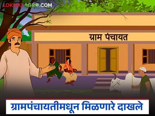 Latest Nes grampanchayata dakhle Certificates and fees available from Gram Panchayat | Grampanchayat Dakhale : ग्रामपंचायतीमधून कोणकोणते दाखले मिळतात, दाखल्यांची फी किती असते? 