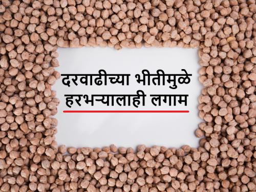 Central approve purchase of gram from Karnataka? dose it affect future Chana, Harbhara, gram prices | भविष्यात हरभरा किंमती नियंत्रणात राहाव्यात म्हणून केंद्राची पीएसएसमधून खरेदी?