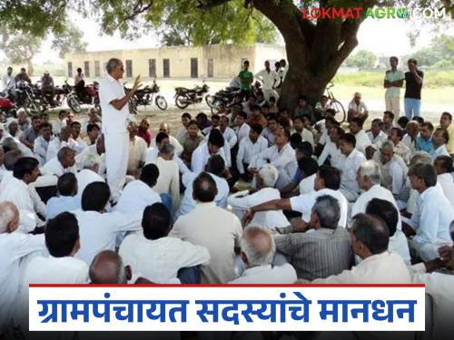 Latest News Grampanchayat How much is salary of Gram Panchayat member | Gram Panchayat : तुमच्या गावातील ग्रामपंचायत सदस्याला किती रुपये मानधन मिळतं? वाचा सविस्तर 