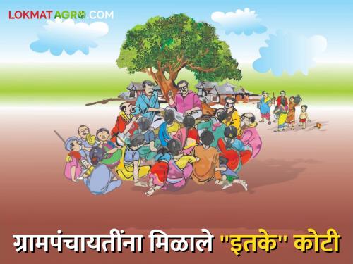 Gram Panchayat : Village Panchayats were called 'Lakshmi'; Read more about ``so many'' crores on ginger account | Gram Panchayat : ग्रामपंचायतींना पावली 'लक्ष्मी' ; आले खात्यावर "इतके" कोटी वाचा सविस्तर