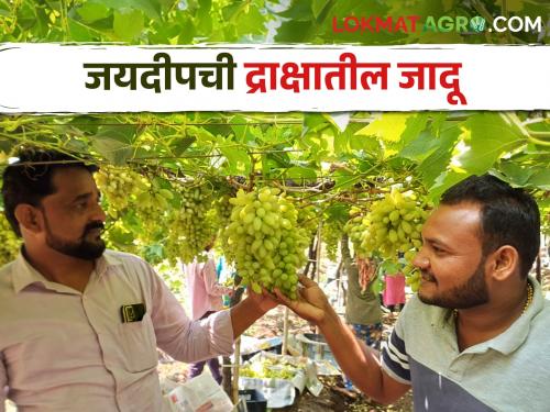 He did not graduate but one subject remained but what Jaideep did in agriculture that he became a millionaire | पदवीधर होता आले नाही एक विषय राहिला पण जयदीपने शेतीत असं काय केलं तुम्ही थक्क व्हाल