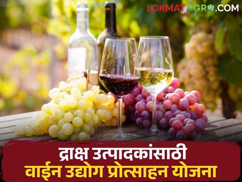 Latest News Approval for disbursement of funds under incentive scheme for wine industry | द्राक्ष उत्पादक शेतकऱ्यांसाठी वाईन उद्योगास प्रोत्साहन, सरकारकडून महत्वपूर्ण निर्णय 