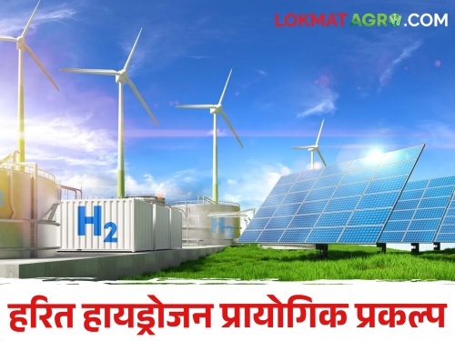 latest news country's first multi-purpose green hydrogen pilot project in himachal pradesh | देशातील पहिला बहु-उद्देशीय हरित हायड्रोजन प्रायोगिक प्रकल्प, काय आहेत वैशिष्ट्ये 