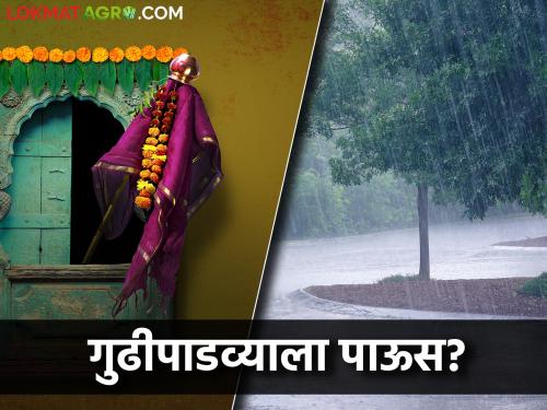 Latest News Chance of hailstorm in Gudipadwa in 22 districts of Vidarbha-Marathwada | Weather Report : विदर्भ-मराठवाड्यातील २२ जिल्ह्यात गुढीपाडव्याला गारपीटीची शक्यता, वाचा सविस्तर