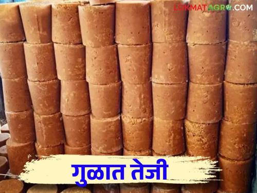 Gul Bajar Bhav : Kolhapur Bazar Samiti has a large arrival of jaggery How is the price getting? | Gul Bajar Bhav : कोल्हापूर बाजार समितीत गुळाची मोठी आवक... कसा मिळतोय दर