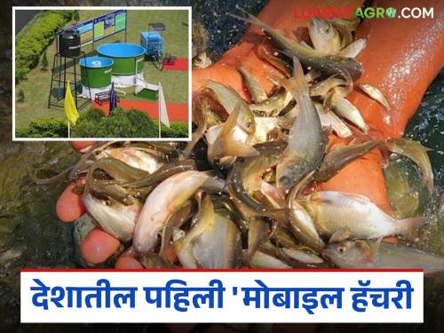 Latest News 'Mobile Hatchery' Portable Unit for Fish Seed Production benefits for farmer | मोबाइल हॅचरी काय आहे, राज्यातील मत्स्य उत्पादक शेतकऱ्यांना कसा फायदा होईल? 