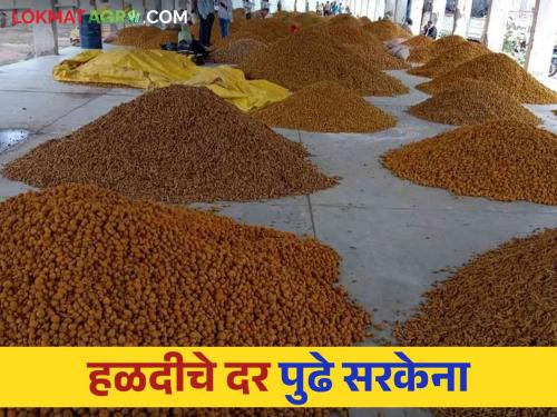 Turmeric market : Turmeric market not get price hike | Turmeric Market: हळदीचा रुसवा जाता जाईना