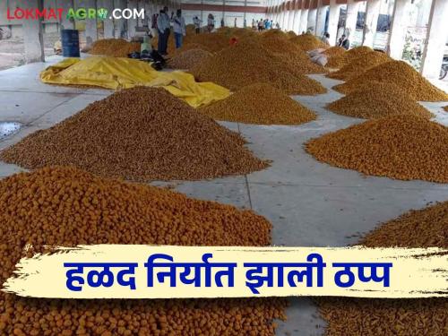 Tarmaric Market:  | Turmeric Market : बांग्लादेशातील अराजकतेचा हळद निर्यातीला फटका