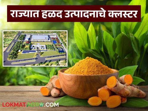 Good news for turmeric farmers, the country's first turmeric research center will be established in Maharashtra | हळद शेतकऱ्यांना खुशखबर देशातील पहिले हळद संशोधन केंद्र होणार महाराष्ट्रात