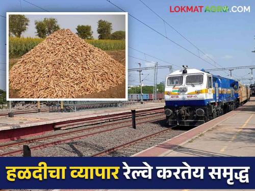 Read more about Sangli-Parli Vaijnath Express to boost turmeric trade | हळदीच्या व्यापाराला चालना देणार सांगली-परळी वैजनाथ एक्स्प्रेस वाचा सविस्तर