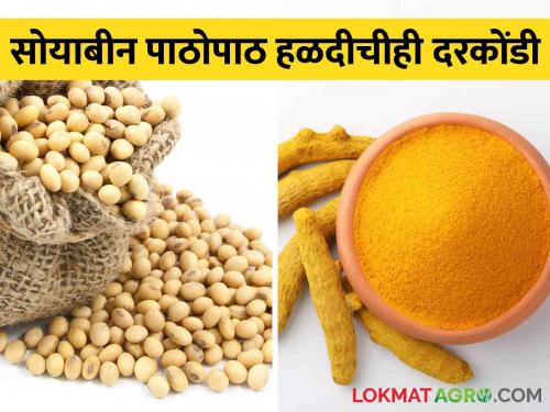 Following Soybeans, Turmeric prices also slowed down; Farmers are worried due to falling prices of agricultural products | सोयाबीन पाठोपाठ हळदीचीही दरकोंडी, आवक मंदावली; शेतमालाचे भाव गडगडल्याने शेतकरी चिंताग्रस्त