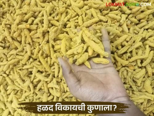 latest news Halad Market: Who should sell turmeric? Traders' indefinite strike begins Read in detail | Halad Market : हळद विकायची कुणाला? व्यापाऱ्यांचा बेमुदत संप सुरू वाचा सविस्तर