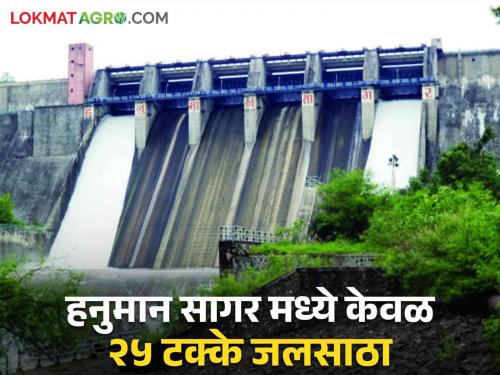 Dam Water Storage In Hanuman Sagar Dam, 33 percent decline: Only 25 percent water storage left | Dam Water Storage हनुमान सागर धरणात तब्बल ३३ टक्क्यांनी घट: केवळ २५ टक्के जलसाठा शिल्लक