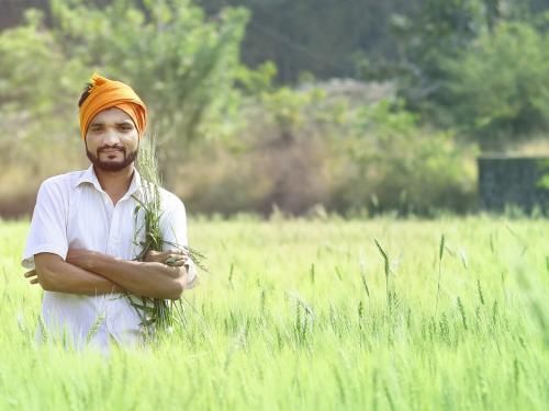 farming is not a gamble in monsoon | शेती व्यवसाय म्हणजे मॉन्सूनमधला जुगार.. हे खोटंही होऊ शकतं