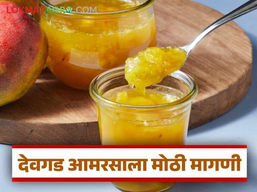 Devgad's mango is the most popular in the world; 25 thousand tons of Hapus mangoes are being canned this year | देवगडचा आमरस जगात भारी; यंदा २५ हजार टन हापूस आंबा कॅनिंगसाठी गेला