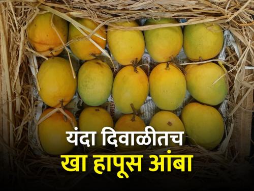 Rupesh Shitap, a farmer from Karbude village of Ratnagiri, has entered the market for the first box of Hapus mango of the season | रत्नागिरीच्या करबुडेतील शेतकरी रुपेश शितप यांची हापूसची पहिली पेटी बाजारात दाखल