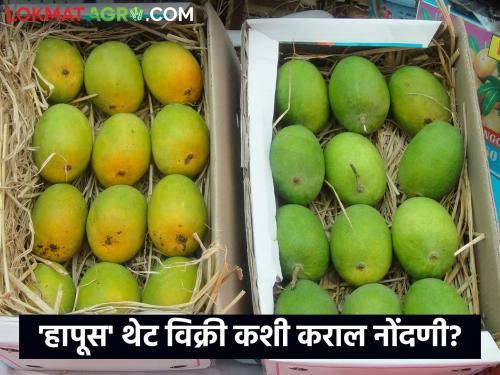 'Producer to consumer' direct selling initiative for sale of Hapus mangoes; Farmers how to register name | हापूस आंबा विक्रीसाठी 'उत्पादक ते ग्राहक' थेट विक्री उपक्रम; शेतकऱ्यांनो कशी कराल नाव नोंदणी