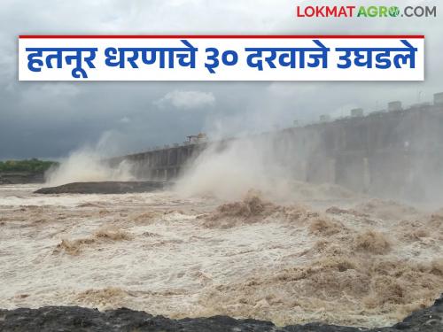 Latest News Thirty gates of Hatnur Dam opened, 1 lakh 60 thousand 613 cusecs released | Hatnur Dam : हतनूर धरणाचे तीस दरवाजे उघडले, 1 लाख 60 हजार 613 क्यूसेकने विसर्ग 