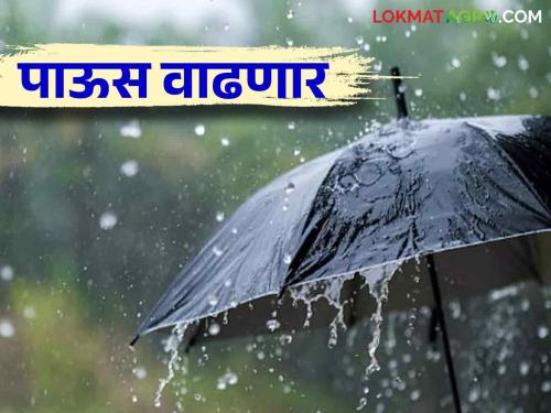 Weather Update Maharashtra : As a result of the low pressure belt, where will rain fall in the state for the next five days | Weather Update Maharashtra : कमी दाबाच्या पट्ट्याचा परिणाम पुढील पाच दिवस राज्यात कुठे पडणार पाऊस