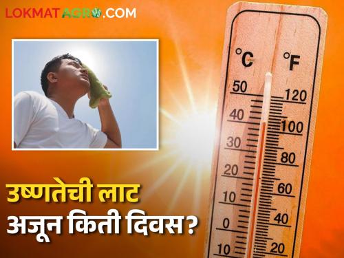 Weather Update; How many more days of heat wave? | Maharashtra Weather Update; राज्यात अजून किती दिवस उष्णतेची लाट?