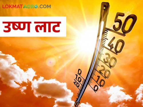 Heat Wave: Heat wave continues in 11 states in the country, waiting for monsoon | Heat Wave देशात ११ राज्यांमध्ये उष्णतेची लाट कायम, मान्सूनची प्रतीक्षा