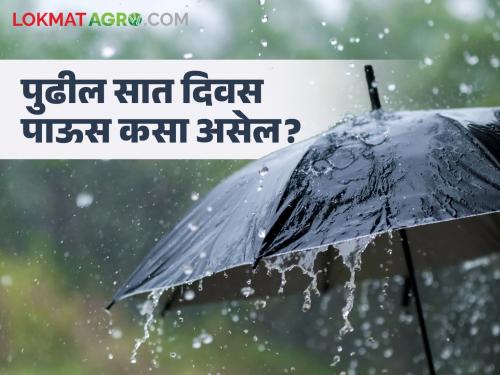 Latest News Maharashtra Rain Update At the end of September next seven days how was rain know in detail  | Maharashtra Rain Update : सप्टेंबरच्या शेवटी झडीचा पाऊस की वळीवाचा पाऊस, जाणून घ्या सविस्तर 