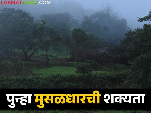Weather conducive for monsoon rains; Heavy rain likely in these parts of the state in the next 3-4 days | Monsoon Update : मोसमी पावसाला पोषक वातावरण; पुढील ३-४ दिवसात राज्यात या ठिकाणी मुसळधार पावसाची शक्यता