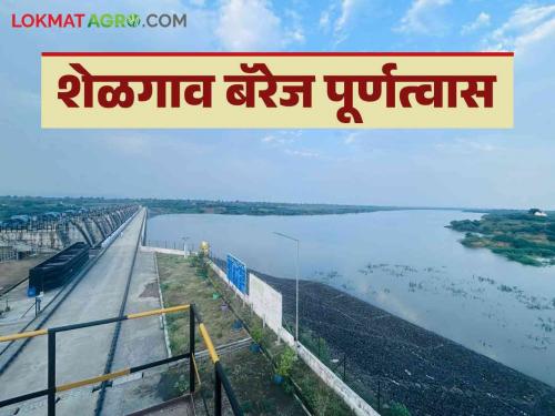 Latest News Shelgaon Barej Shelgaon Barrage boon for three taluka see details | Shelgaon Barrage : जळगाव जिल्हयासाठी वरदान असलेले शेळगाव बॅरेज आले पूर्णत्वास, वाचा सविस्तर
