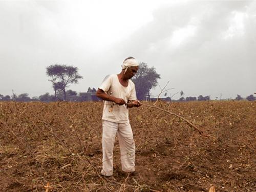 920 villages drought-like; Less rain in 46 circles of Chhatrapati Sambhajinagar district | ९२० गावे दुष्काळसदृश; छत्रपती संभाजीनगर जिल्ह्यातील ४६ मंडळात कमी पाऊस