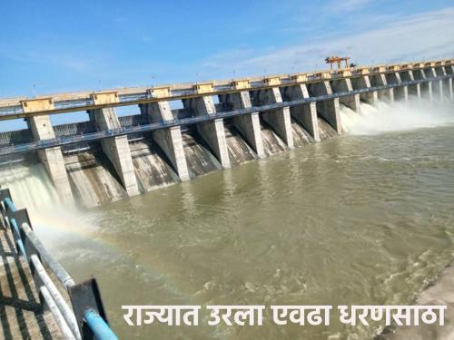 Dam Water: Due to high temperature, the dam storage is rapidly decreasing, the average remaining water storage in the state | Dam Water: तापमानाच्या उच्चांकामुळे धरणसाठा वेगाने घटतोय, राज्यात सरासरी उरला एवढा जलसाठा