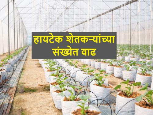 hi-tech agriculture in farming increased this year | यंदा हायटेक शेतीकडे शेतकऱ्यांचा कल वाढला