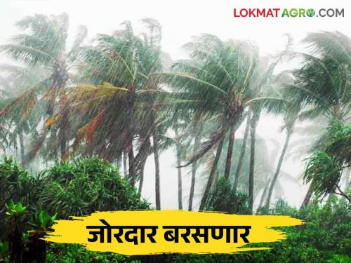 Maharashtra Weather Update: Rain will continue for three days; Where which alert | Maharashtra Weather Update: तीन दिवस पावसाचा जोर कायम राहणार; कुठे कोणता अलर्ट