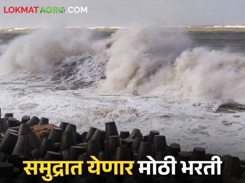 High Tide Alert, Do not go to sea, high tide for five days | High Tide Alert समुद्रात जाऊ नका, पाच दिवस मोठी भरती