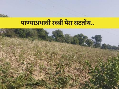 Rabi sowing is decreasing due to lack of water in the border villages | सीमेवरील गावांत पाण्याअभावी रब्बी पेरा घटतोय