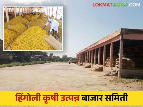 APMC Hingoli : Auction of farm produce will be closed on Monday | APMC Hingoli : सोमवारी शेतमालाचा लिलाव राहणार बंद