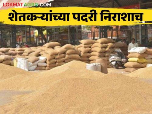 Market: The auction of agricultural goods is smooth after seven days in the market committee's frenzy! | Market : बाजार समितीच्या मोंढ्यात सात दिवसानंतर शेतमालाचा लिलाव सुरळीत!