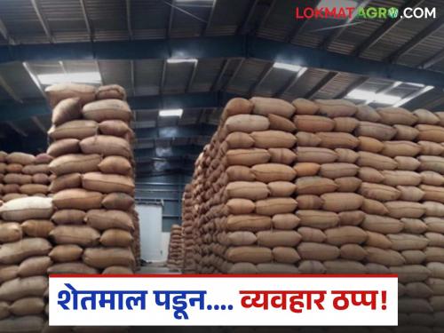 latest news Hingoli Bajar Samiti: Mondha closed, market quiet; Read the farmers' dilemma before sowing in detail | Hingoli Bajar Samiti : मोंढा बंद, बाजार शांत; पेरणीपूर्वी शेतकऱ्यांची कोंडी वाचा सविस्तर