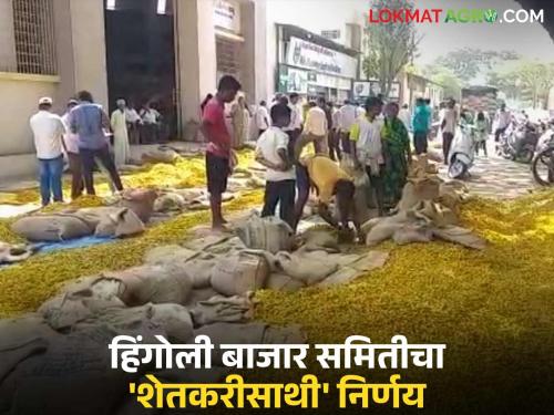 latest news Hingoli Bajar Samiti: Record arrival of Halad, threat of rain... Market Committee's 'Shetkari Saathi' decision! Read in detail | Hingoli Bajar Samiti : हळदीची विक्रमी आवक, पावसाचा धोका... बाजार समितीचा 'शेतकरीसाथी' निर्णय!वाचा सविस्तर