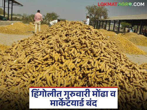 latest news Hingoli Market Yard: Agricultural goods trading will be closed tomorrow in Hingoli Market Yard; Read the reason in detail | Hingoli Market Yard : हिंगोली बजारात उद्या शेतमाल व्यवहार बंद; काय आहे कारण वाचा सविस्तर