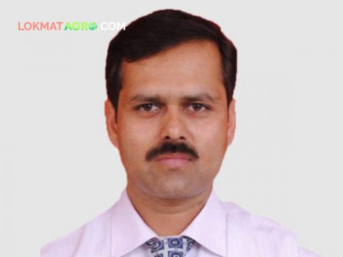 Vinay Kumar Awte has been appointed as the Director of Extension Training Agriculture Department | कृषी विभागाच्या विस्तार प्रशिक्षण संचालकपदी विनयकुमार आवटे यांची वर्णी