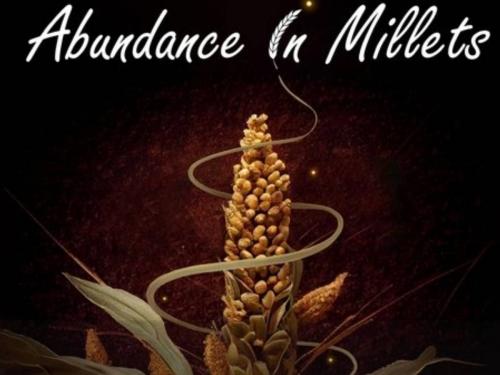 The song 'Abundance in Millet', based on millet, received a world class nomination | तृणधान्यांवर आधारित 'अबंडन्स इन मिलेट' या गाण्याला मिळाले जागतिक दर्जाचे नामांकन