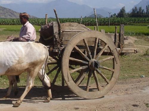 Instead of looking for a job, he set up a business in the village and made himself known throughout the state by making wooden bullock carts | नोकरीच्या मागे न लागता गावातच उभारला व्यवसाय, लाकडी बैलगाड्या बनवत कमावतोय..