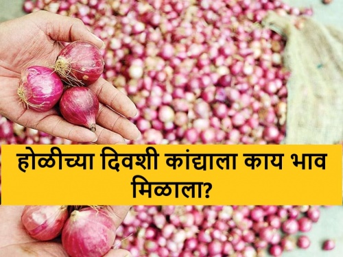 latest News know the red and summer onion market price in holi festival 2024 | Onion Market : होळीच्या दिवशी लाल उन्हाळ कांद्याला कुठे काय भाव मिळाला? वाचा सविस्तर