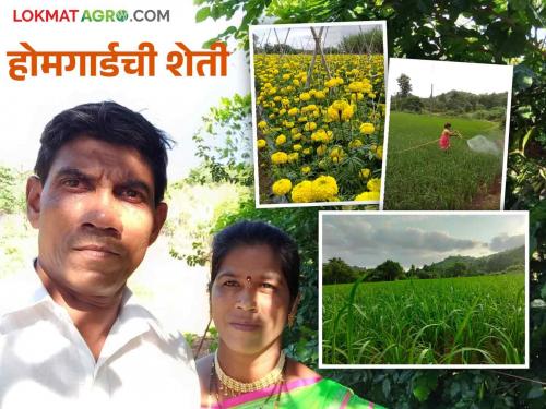 Farmer Success Story: Couldn't serve the country, did experimental farming while serving the soil | Farmer Success Story: देशसेवा करता आली नाही, मातीची सेवा करत केली प्रयोगशील शेती